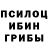 Псилоцибиновые грибы мицелий Kr1tik