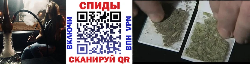 купить   Темрюк  Бутират буратино 