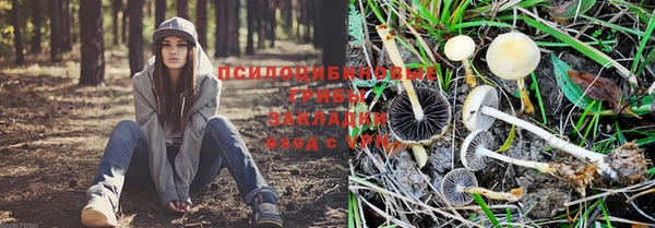 хмурый Кукмор