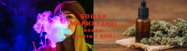 ГАЛЛЮЦИНОГЕННЫЕ ГРИБЫ Краснослободск