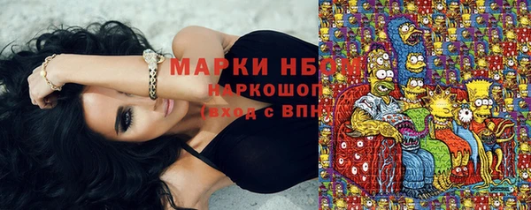 ГАЛЛЮЦИНОГЕННЫЕ ГРИБЫ Краснослободск