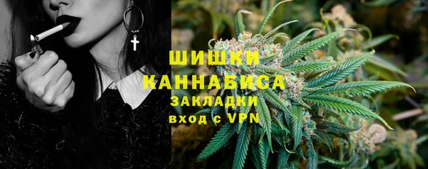 ГАЛЛЮЦИНОГЕННЫЕ ГРИБЫ Краснослободск
