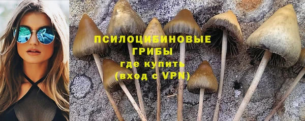 тгк Краснотурьинск
