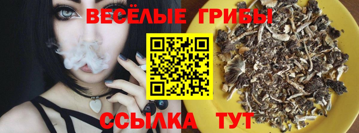 Псилоцибиновые грибы GOLDEN TEACHER  Темрюк 