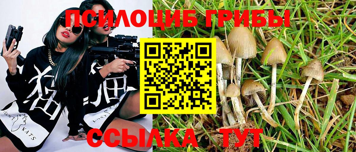 Псилоцибиновые грибы Magic Shrooms Темрюк